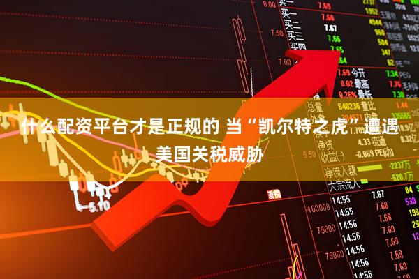 什么配资平台才是正规的 当“凯尔特之虎”遭遇美国关税威胁