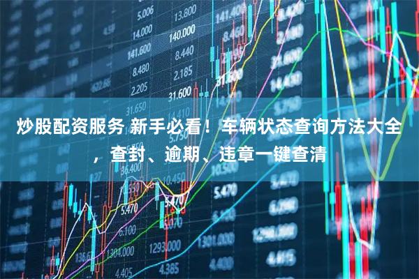 炒股配资服务 新手必看！车辆状态查询方法大全，查封、逾期、违章一键查清